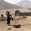 بارندگی خسارتی به عشایر همدان وارد نکرده است