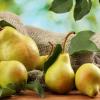 یک گلابی در روز؛ یک دنیا فایده