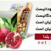 « جشنواره عکس یلدا »