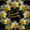 «او» كه راز «گلستانشدن آتش بر ابراهيم (ع)» است، خواهد آمد