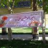 گزارش تصویری/ تبریک فرزندان شهدای اسدآبادی به پدر شهیدانشان
