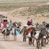 ورود 1600 خانوار عشایری به همدان از دهم اردیبهشت