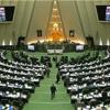 تأکید بر تعیین ضربالاجل تجدیدنظر در اقدامات داوطلبانه و ازسرگیری فعالیتها در چارچوب انپیتی